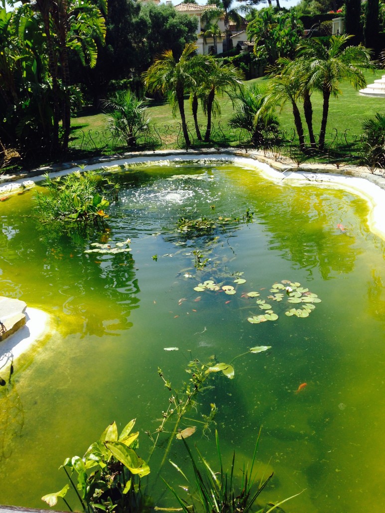agua-verde-773x1030